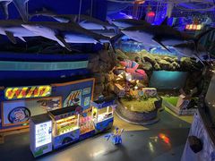 -烟台海昌鲸鲨海洋公园