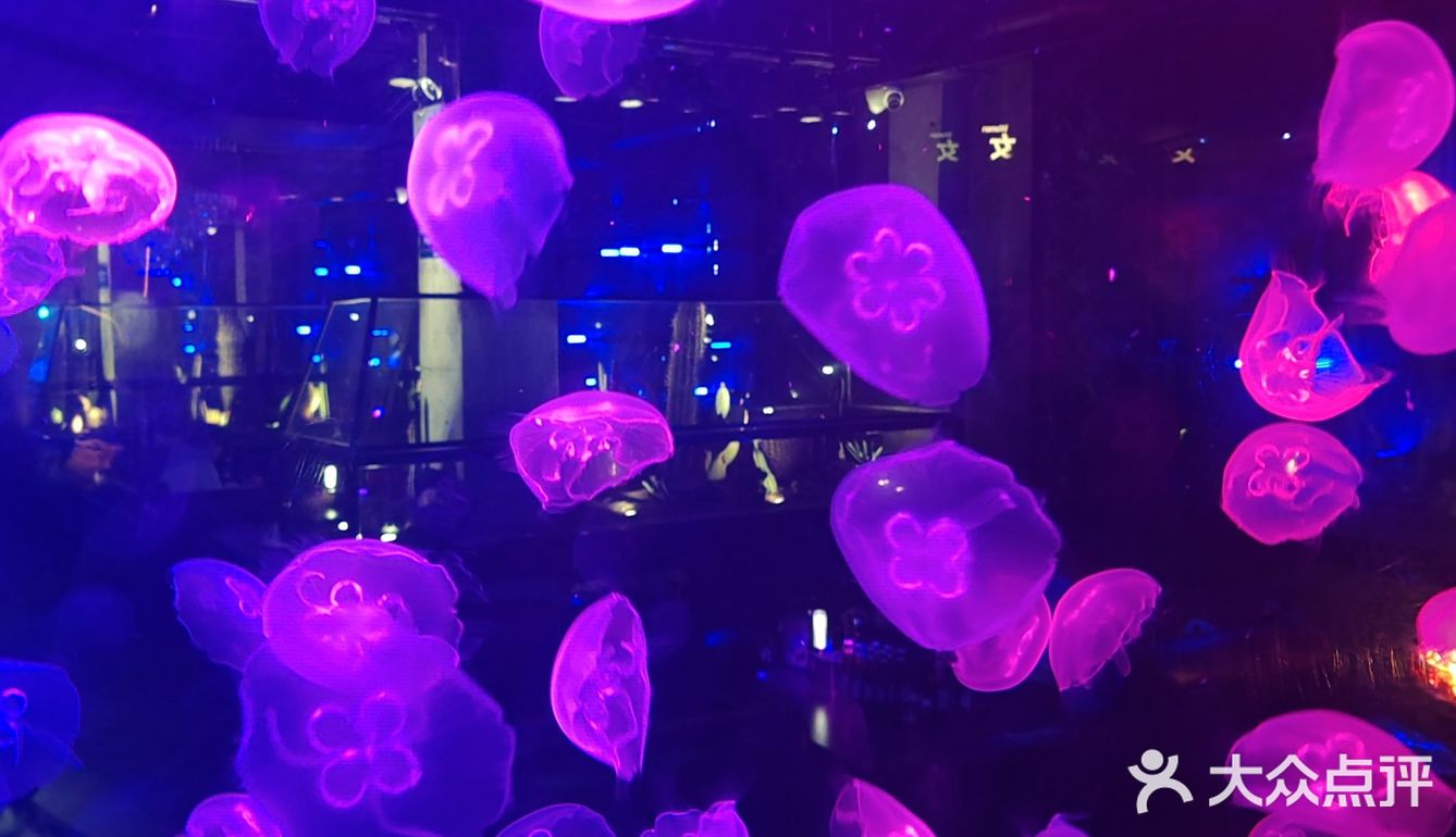 快乐夜晚不打烊