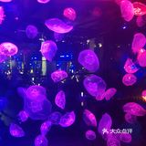 快乐夜晚不打烊