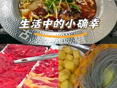 -古乐牛香·鲜牛肉牛杂火锅(高新店)