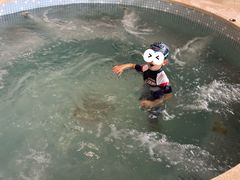 -宁波九龙湖开元度假村