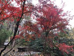 -南山风景名胜区