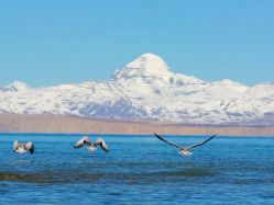 -Oasis Beauty水磨坊科技美肤中心