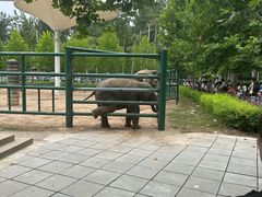 -秦皇岛野生动物园