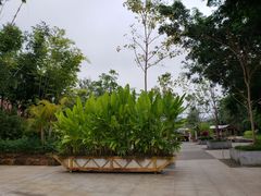 -西双版纳勐泐文化旅游区