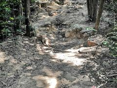 -火炉山森林公园