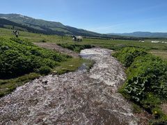 -新疆那拉提国家旅游度假区
