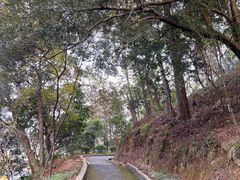 -广州市流溪河国家森林公园