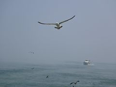 -海驴岛(荣成市)