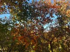 -北京西山国家森林公园