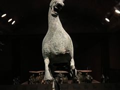 -甘肃省博物馆