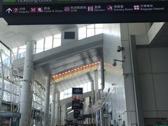 -国际邮轮中心码头(厦鼓码头)
