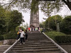 -上海佘山国家森林公园天马山园