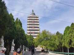 -原山国家森林公园