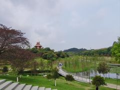 -东莞植物园