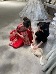 -B.Bridge Couture婚纱礼服(福田店)