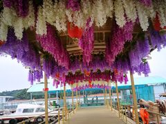 -仙海旅游度假区