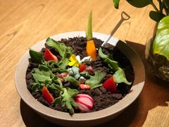 盆景色拉-荟廷·晶萃(陆家嘴尚悦湾店)