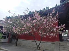 -开封府