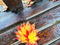 -本溪老边沟风景区