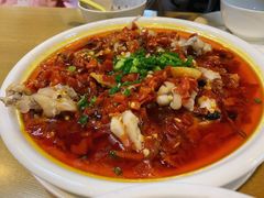 -台北楚楚园馅饼粥(虹桥南丰城店)