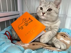 -艾贝尔宠物诊疗