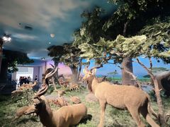 -国家自然博物馆