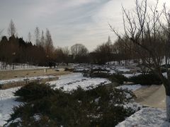 -大望京公园