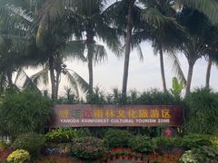 -呀诺达热带雨林