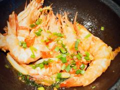 -海食焗(新光天地店)