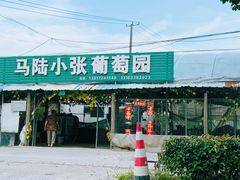 -马陆小张葡萄园农家乐