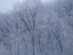 -中旅松花湖滑雪场