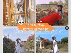 -大塘金香草谷