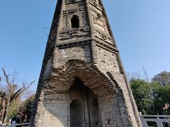 -上海佘山国家森林公园天马山园