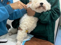 -佑安动物医院·全科·内窥镜中心(幸福巷店)