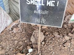 -大象粑粑造纸公园