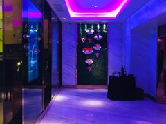 -纯K(打浦桥店)