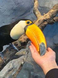 -Zoolung Zoolung动物主题公园(海信广场店)