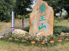 -广东中医药博物馆