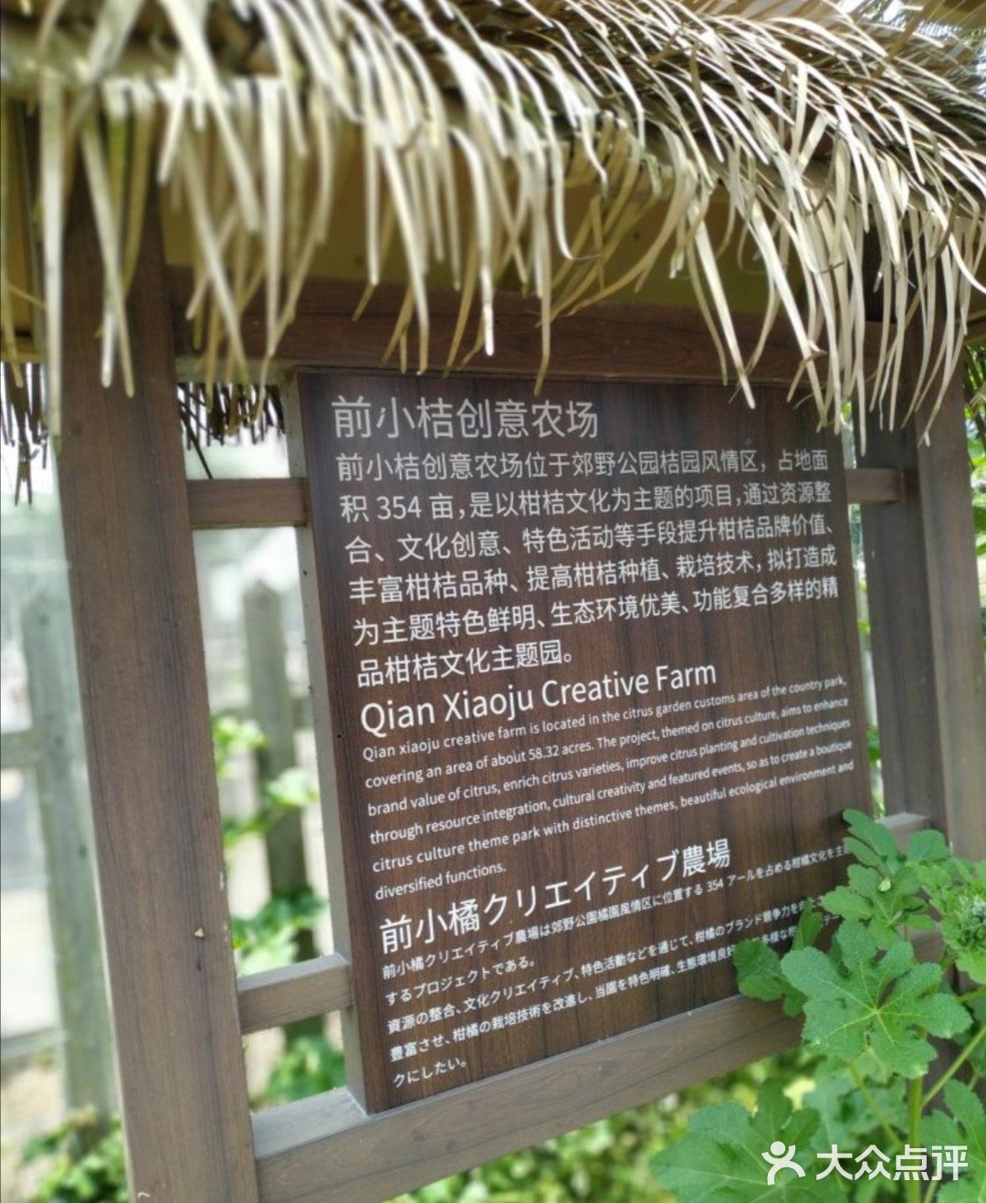 五一假期来采摘吧！