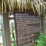 五一假期来采摘吧！