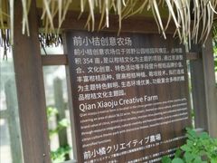 -前小桔亲子创意农场·草莓采摘·露营烧烤