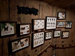 点击看大图 -Zoolung Zoolung动物主题公园(海信广场店)