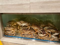 海鲜池 -避风塘潮粤海鲜酒楼