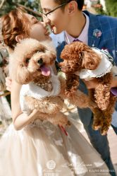 -花轿喜屋婚礼策划