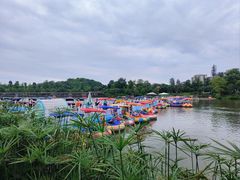 -枫香湖儿童公园