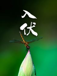 -宝馨月月子中心(友谊医院店)