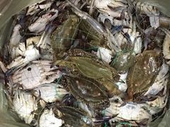 -聚盛源蒸汽海鲜火锅烤肉自助(巨川金海岸购物广场店)