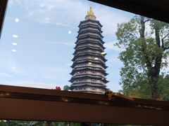 -听松楼·花园酒店·自助餐厅(红梅公园店)