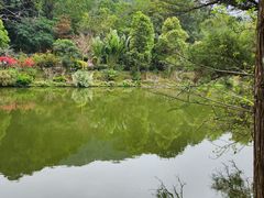 -深圳仙湖植物园